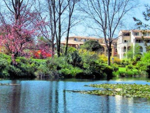 Domaine De La Coudouliere, Calme, Sans Vis A Vis, Proche Mer, Piscine Six-Fours-les-Plages Zewnętrze zdjęcie